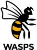 Wasps_Logo_Light_Background_RGB